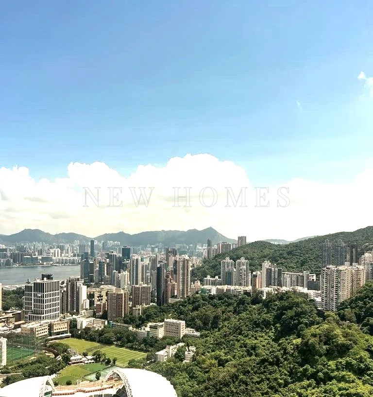 Broadwood Park, Happy Valley — 7
