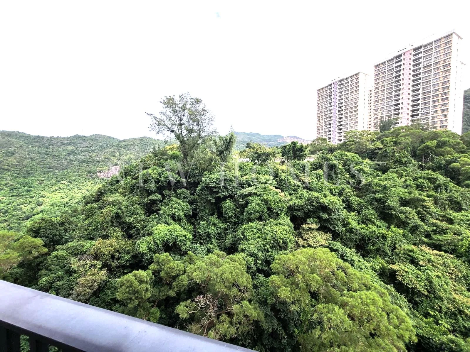 Flora Garden, Tai Hang — 2