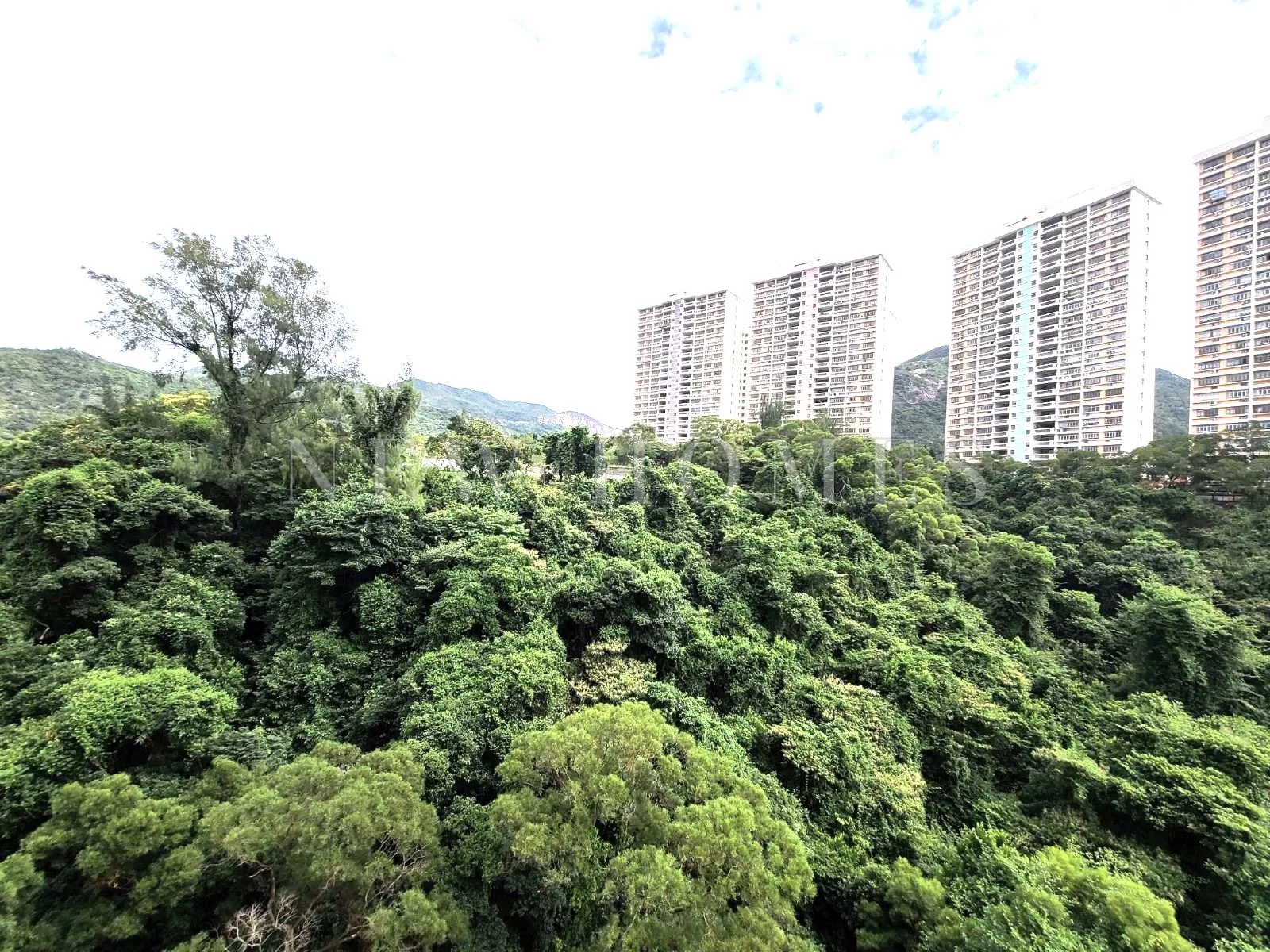 Flora Garden, Tai Hang — 5
