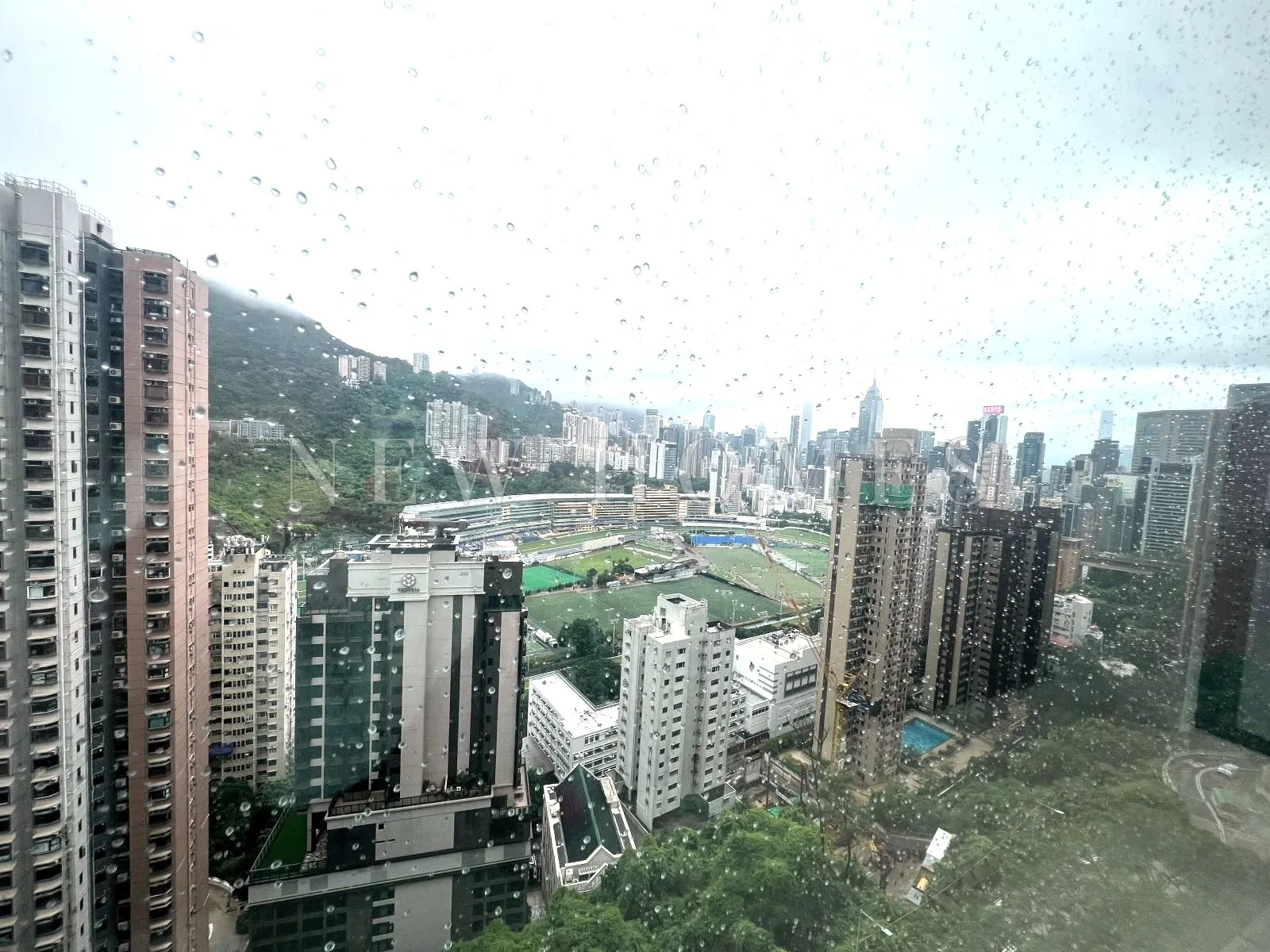 Broadwood Twelve, Happy Valley — 3