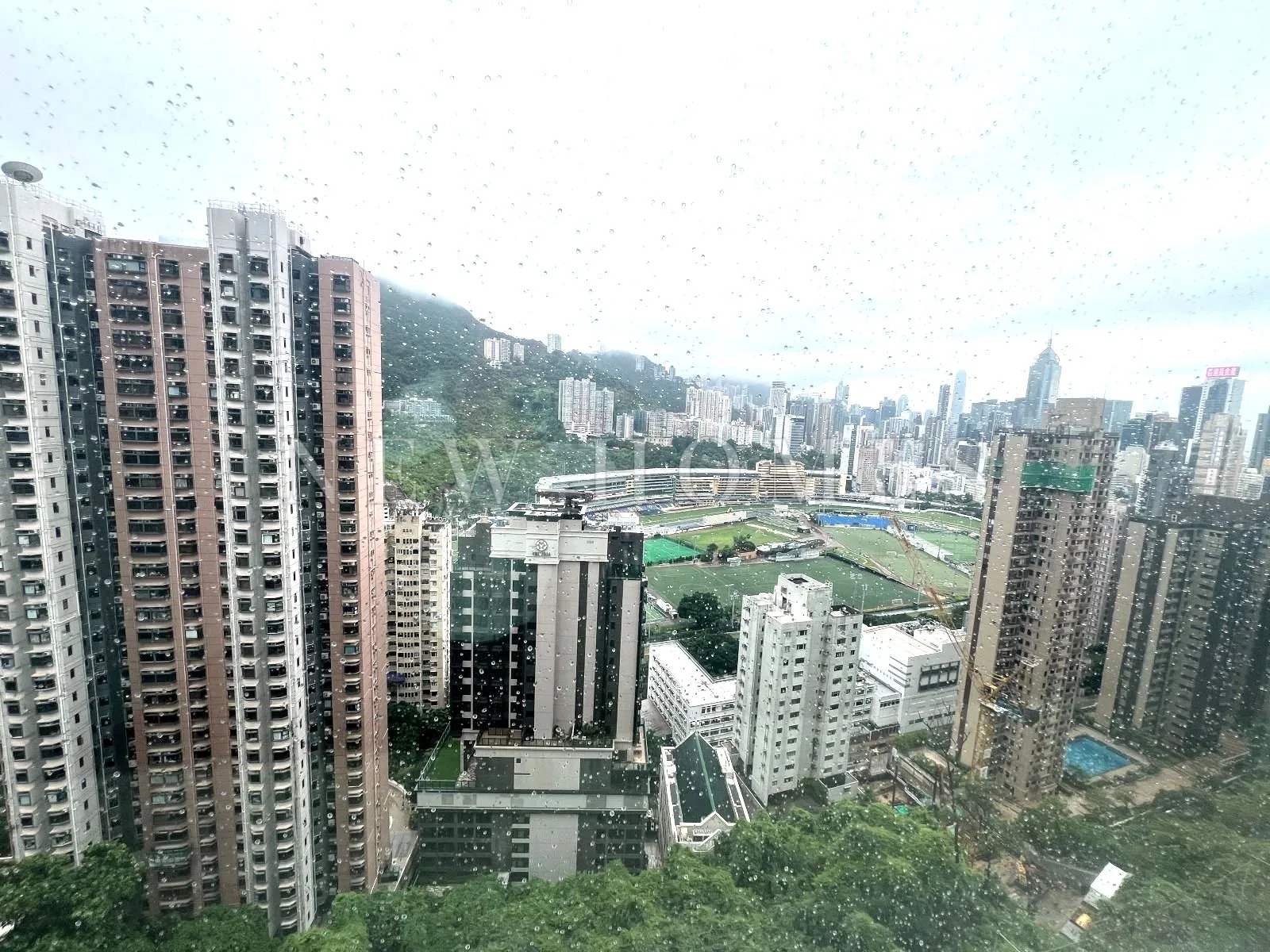 Broadwood Twelve, Happy Valley — 6