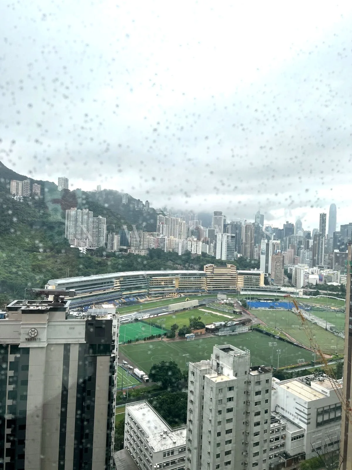 Broadwood Twelve, Happy Valley — 11