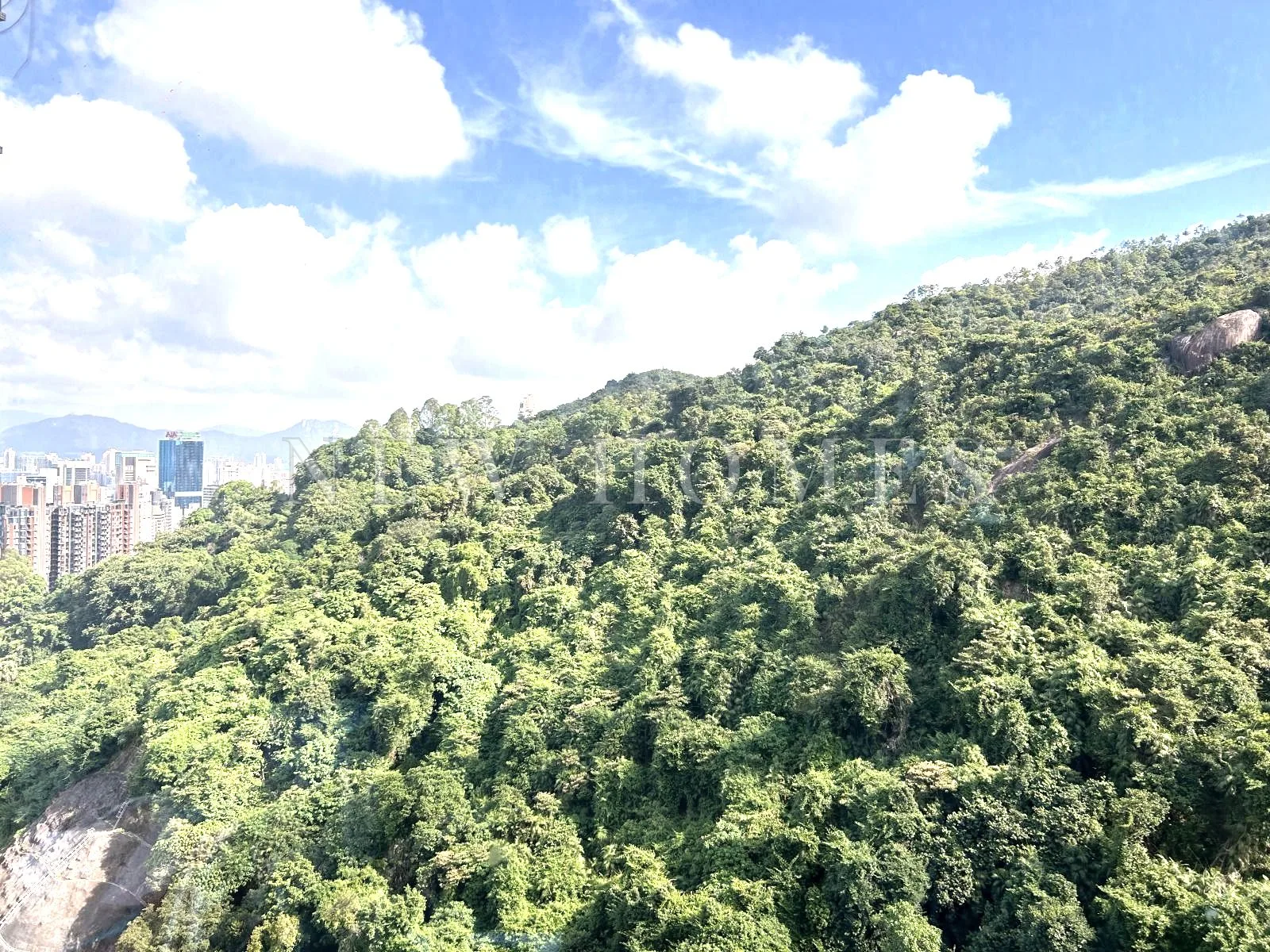 上林, Tai Hang — 5